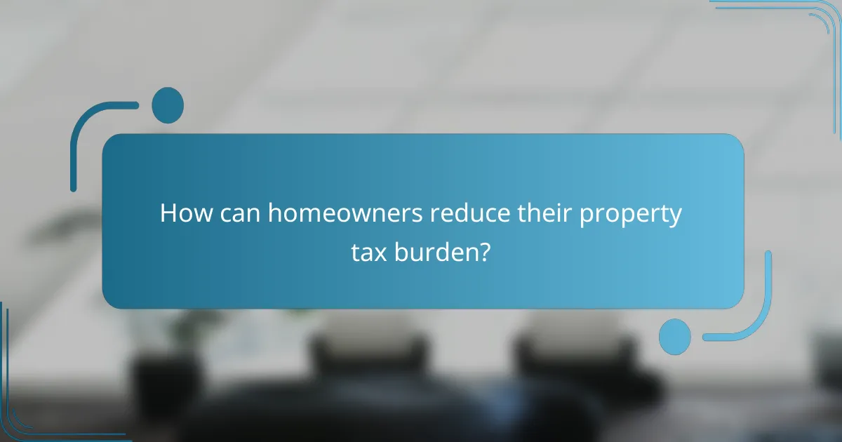 How can homeowners reduce their property tax burden?