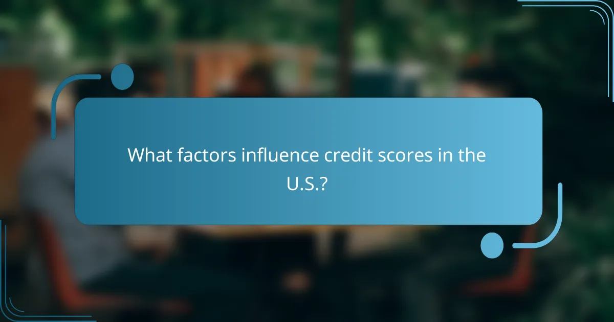 What factors influence credit scores in the U.S.?